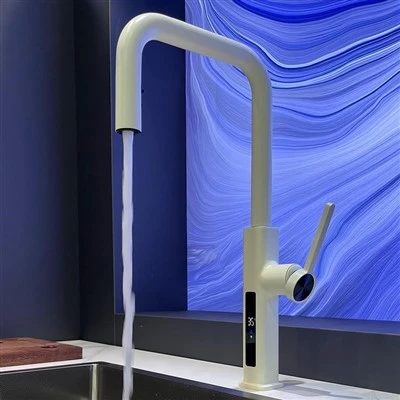 Köksblandare Enkelt handtag Med Pull Down Sprayer